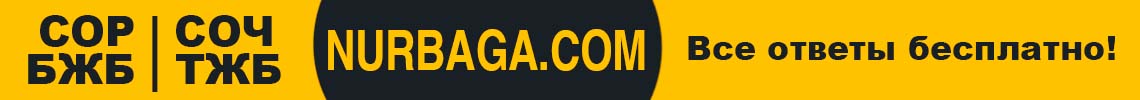 nurbaga.com СОР СОЧ